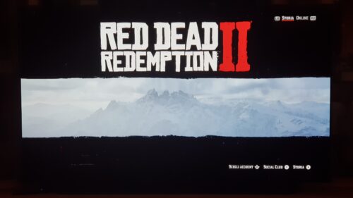 Red Dead Redemption 2 photo review