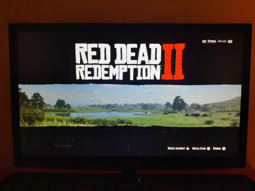 Red Dead Redemption 2 photo review