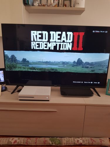 Red Dead Redemption 2 photo review