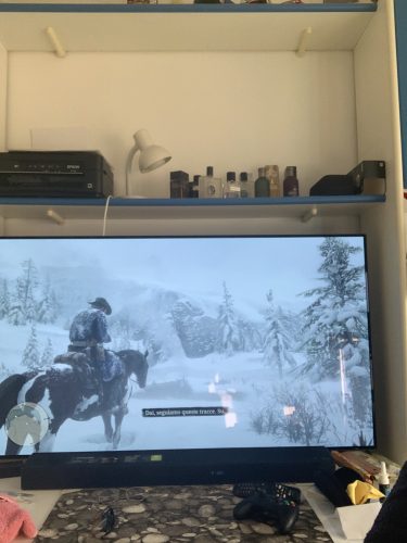 Red Dead Redemption 2 photo review