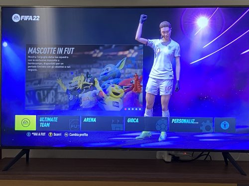 FIFA 22 Ultimate photo review