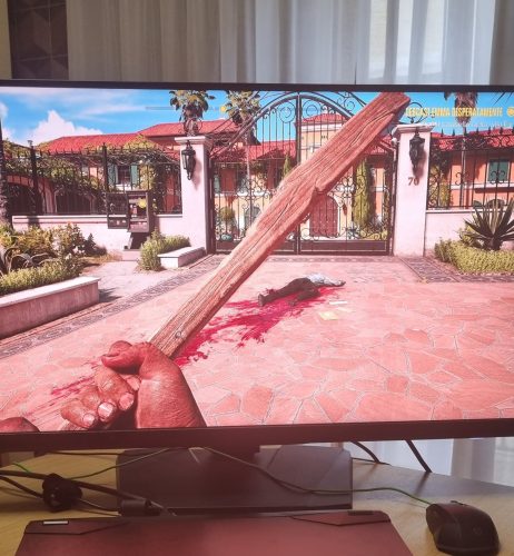 Dead Island 2 photo review